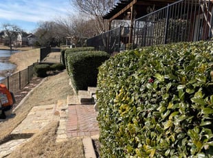 Bush Trimming by Abel Baeza for Emily J. in Richardson, TX