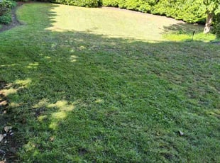Heath H.'s Grass Cutting service result