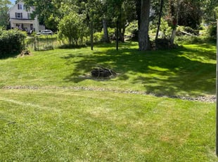Susan N.'s Lawn Mowing Service service result