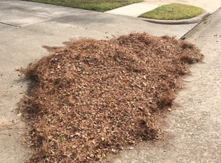 Leaf Removal by Jerry Clayton for Vincent B. in Houston, TX