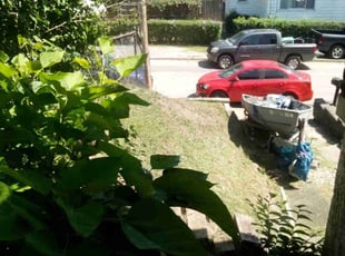 Robert R.'s Lawn Mowing service result