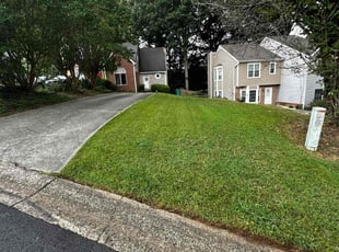 Hiram V.'s Lawn Mowing Service service result