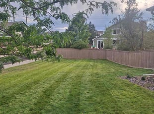 Nick P.'s Lawn Care service result