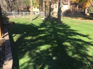 Leaf Removal by Don Hansen for Lynn M. in Coon Rapids, MN