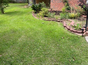 Bayleo B.'s Lawn Mowing Service service result