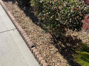 Bush Trimming by Christopher Ruiz for Paul W. in Callahan, FL