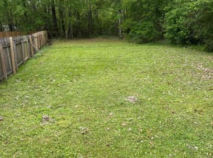 Cleanups by Jonathan Jones for Amanda M. in Madisonville, LA