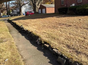 Leaf Removal by Harry Figueroa for Andres R. in Springfield, MA