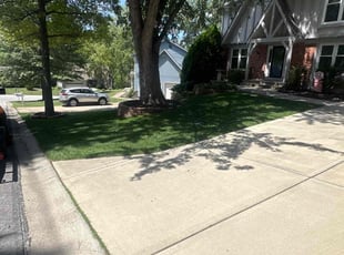 Sheila M.'s Lawn Care service result