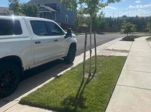 Michele W.'s Yard Cutting service result