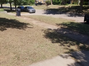 Leaf Removal by Melissa Pryor for Matthew L. in Oklahoma City, OK