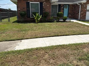 Bush Trimming by Terry Felo for Deltrice P. in Harvey, LA
