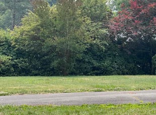 Bush Trimming by Jose M Rodriguez for Imai W. in Alexandria, VA