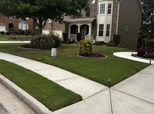 Dagmara C.'s Lawn Mowing service result