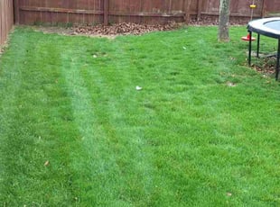 Joey L.'s Lawn Care service result