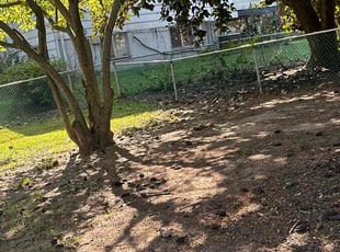 Leaf Removal by Pedro Benitez Amaya for Coleman C. in Glen Burnie, MD