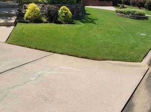 Carmen M.'s Lawn Mowing Service service result