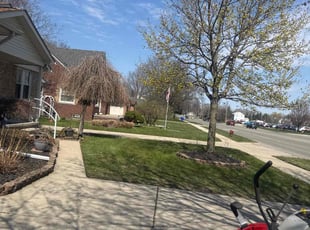 Hunter A.'s Lawn Mowing Service service result