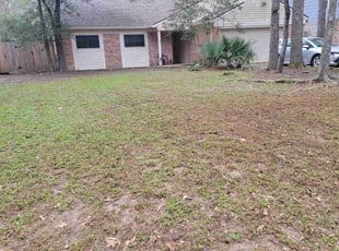 Leaf Removal by Bianca Boyle for David D. in Houston, TX