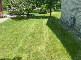 Melvin B.'s Lawn Care service result