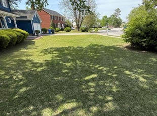 Jeff m.'s Lawn Service service result