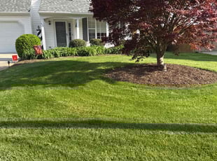 Glodem M.'s Grass Cutting service result