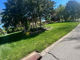 Shirley W.'s Lawn Maintenance service result