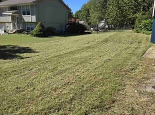 Peter C.'s Lawn Mowing Service service result