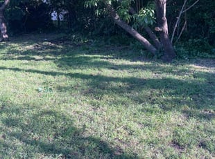Cleanups by JosΓ© Peraza for Bradley D. in Allen, TX