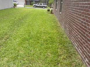 Greg M.'s Lawn Service service result
