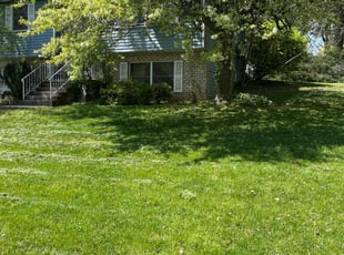 David R.'s Lawn Care service result