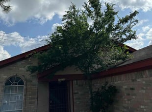Bush Trimming by Stephen Morales for Pietto V. in Houston, TX