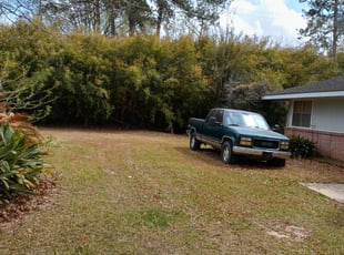 Leaf Removal by Gregory Lewis for Robert W. in Baton Rouge, LA