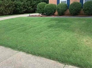 Joshua T.'s Grass Cutting service result