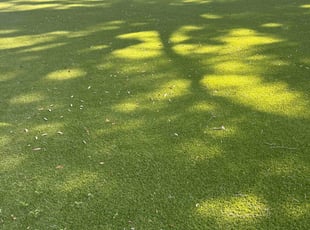 Peggy K.'s Leaf Removal service result