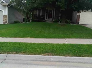 Michael L.'s Yard Cutting service result