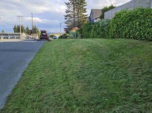 Sandy C.'s Lawn Mowing service result