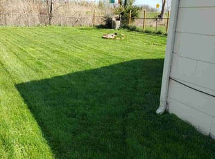 Doris M.'s Lawn Care service result