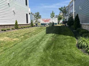 Karina B.'s Lawn Care service result