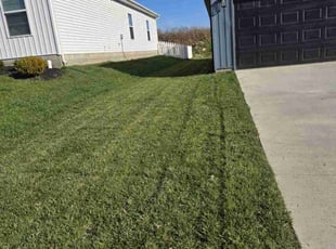 Daphnee S.'s Lawn Care service result