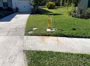 Marcela P.'s Lawn Maintenance service result