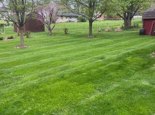 Andrew M.'s Lawn Care service result