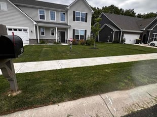 Adrienne G.'s Yard Cutting service result