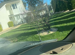 Diane O.'s Lawn Care service result