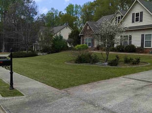 Jack P.'s Lawn Mowing service result