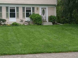 Steve M.'s Lawn Maintenance service result
