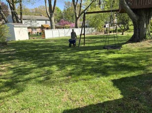 Leaf Removal by Jacob Jumper for Alec H. in Holland, MI