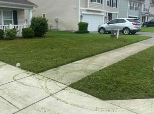 Joseph A.'s Lawn Service service result