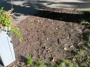 Cleanups by Johnathon Barrett for Ryan M. in Alto, MI
