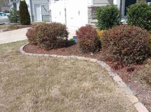Bush Trimming by Phillip Chappell for Joann A. in Knightdale, NC